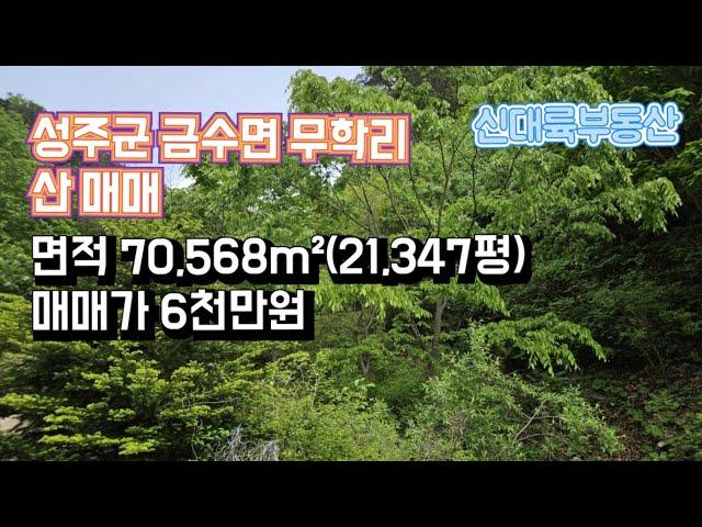 매물#159)성주군 금수면 무학리 산 매매 면적 70,568m²(21,347평) 매매가 6천만원_성주촌집매매.성주땅매매.성주전원주택매매