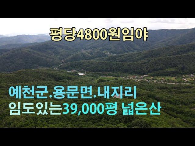 (20711-1드론) 경북 예천군 용문면 내지리 임야 39,500평.1억9천만원