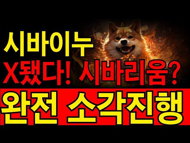 [시바이누] X됐다. 시바리움??? 그냥 재단에서는 완전소각진행 결정했습니다.