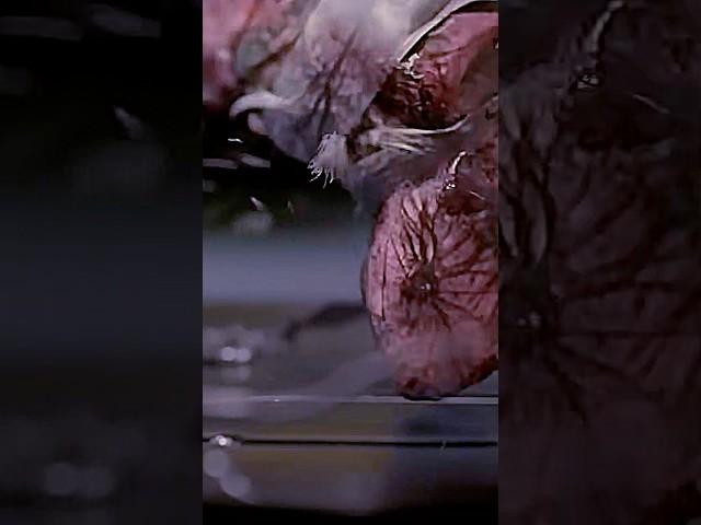 What Happens When a Mouse Touches an Alien Plant? 