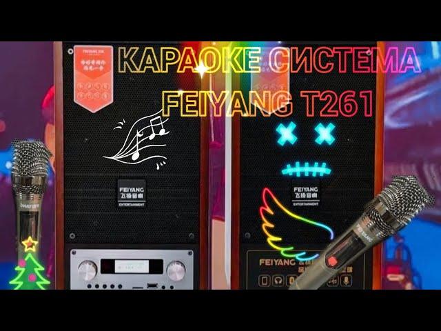 Караоке мультимедиа стерео система #Feiyang T261 от #Temeisheng ⬇️⬇️⬇️