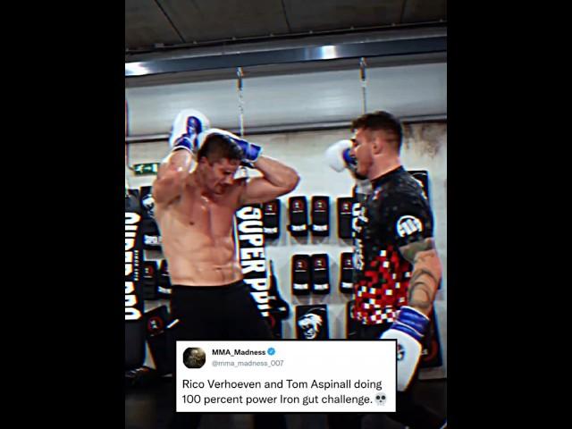 UfC heavyweight Champ vs Kickboxing Champ  #ufc #ufcfighter #kickboxing #tomaspinall #rico