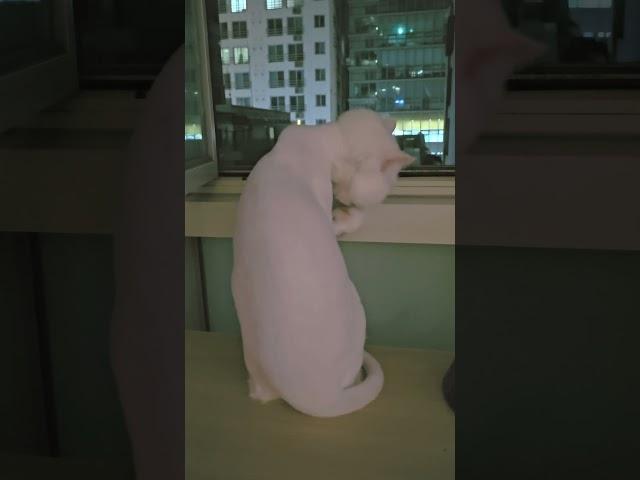 뚜뚜 !! 나도 같이 보자!
