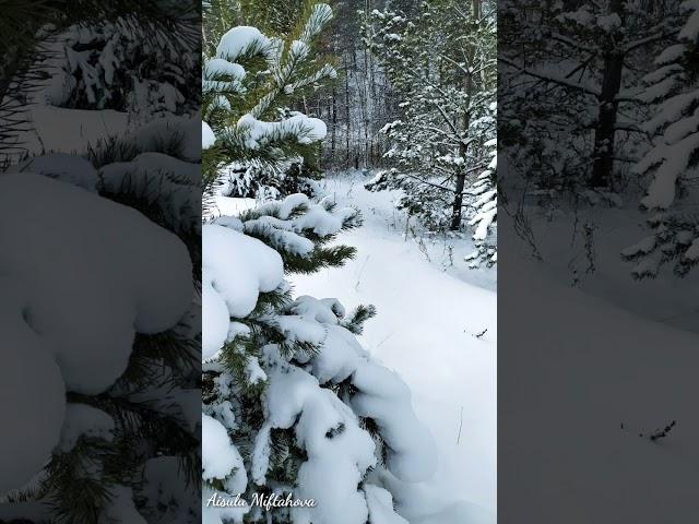 Листая страницы января - "зимние сюжеты"