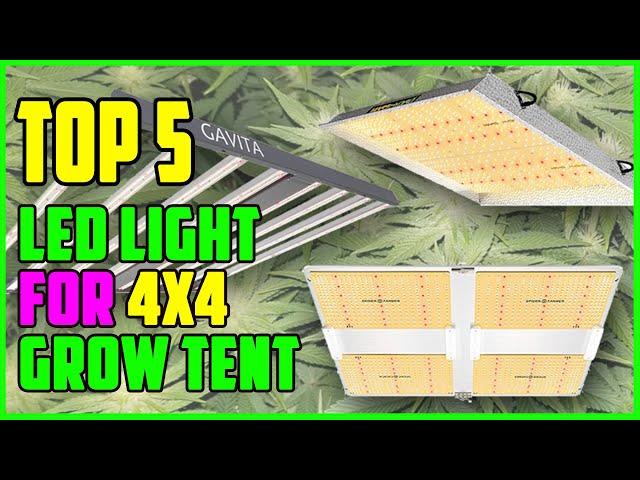 TOP 5 Best LED Light For 4x4 Grow Tent 2023