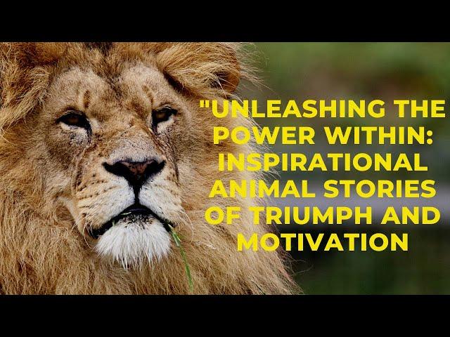 Unleashing the Power Within: Inspirational Animal Stories of Triumph and Motivation