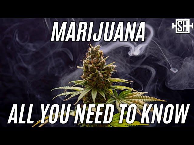 Marijuana: All Facts And Numbers