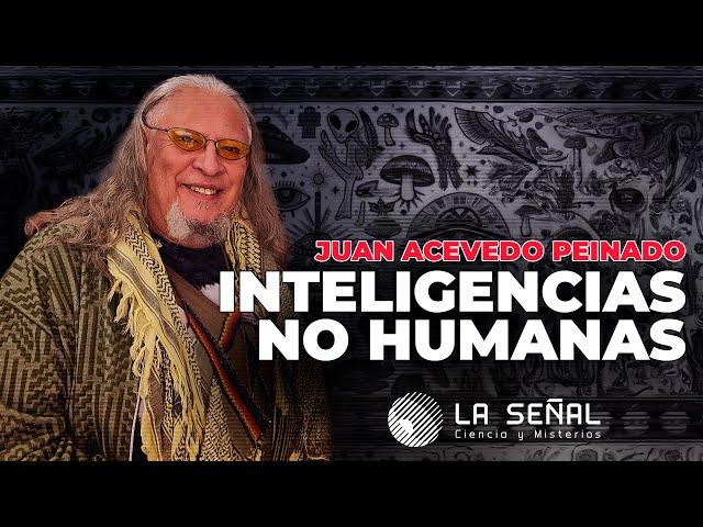  INTELIGENCIAS NO HUMANAS con Juan Acevedo Peinado #exclusivo #podcast  |Señal 378