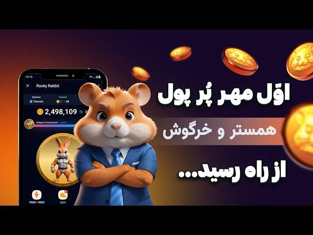 فوری قبل لیست شدن همستر کامبت و راکی ربیت این کارهارو بکن !