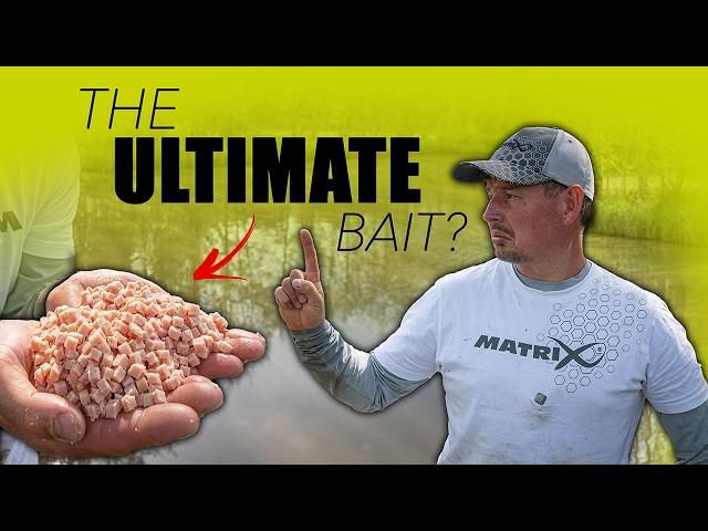 The Ultimate MEAT FISHING Guide with KIERAN MARSDEN | The Oaks Lakes