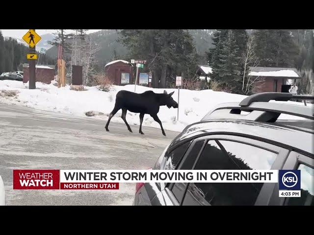 Winter storm moving in overnight