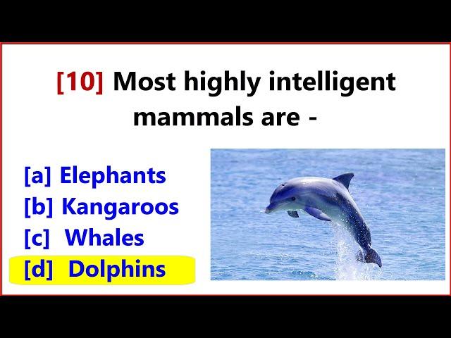 55 GK Questions and Answers on birds & animals | quiz on animals | Animals Quiz Questions