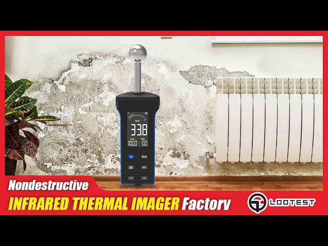 LOOTEST LT5000T Non-Destructive Moisture Meter: Protect Your Home from Hidden Water Damage