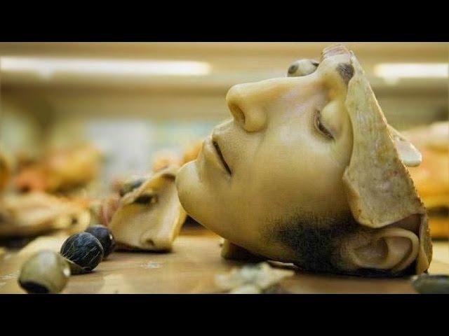 Top 10 Creepy Museums