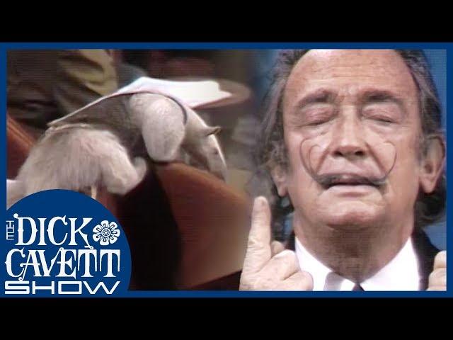 Salvador Dali on Anteaters and Moustaches | The Dick Cavett Show