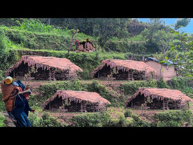 No Home, No Borders: The Incredible Story oF Nepal's Last Nomads Il Himalayan Shepherd Life Nepal II