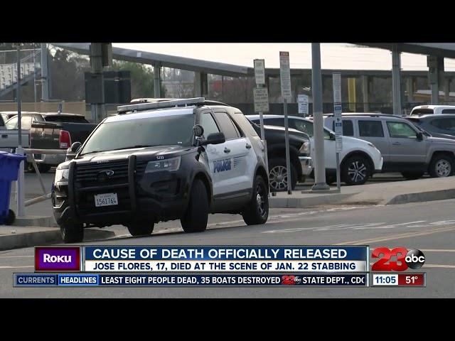 Cause of death in deadly stabbing released