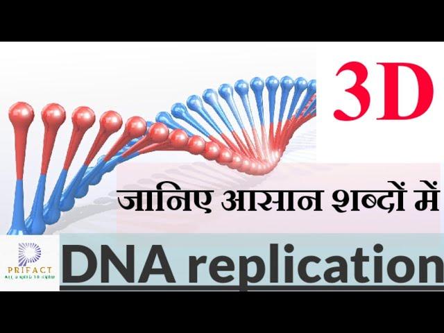 DNA replication in hindi/डीएनए द्विगुणन /डी एन ए प्रतिकृति/ डी एन ए रिप्लिकेशन , molecular structure