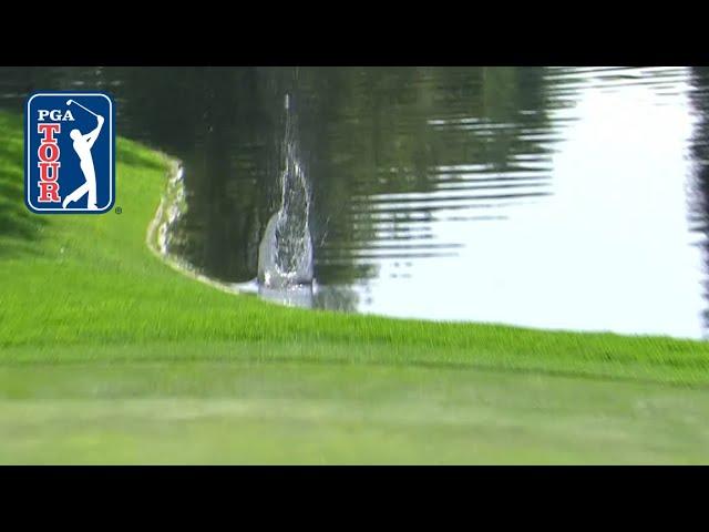 Luckiest shot of the year! Huge bounce off the water for Sungjae Im | WGC Mexico