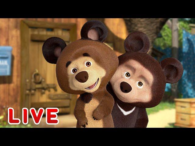  LIVE STREAM  Masha and the Bear ‍️ It's great to be a kid! 