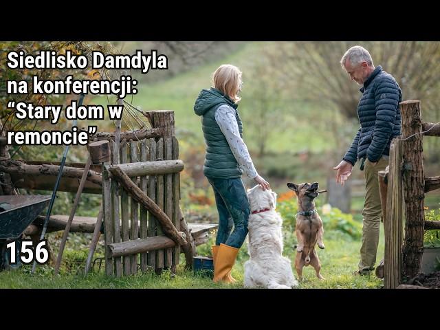 TIMELAPS - DIY Old log cabin renovation | Damdyla Habitat part.156