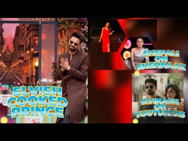 #Elvishyadav cooked Prince Narula |Avinash Mishra statements on Youtubers|Shefali on Shehnaaz Gill |