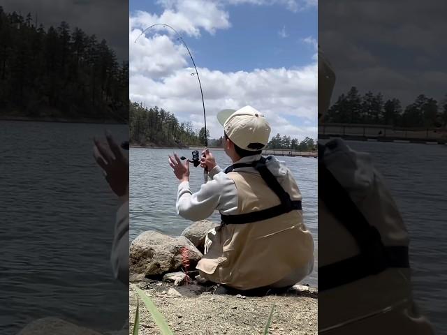 Hookset #fishing #c&r #Arizona #w #flyfishing #trout #viral
