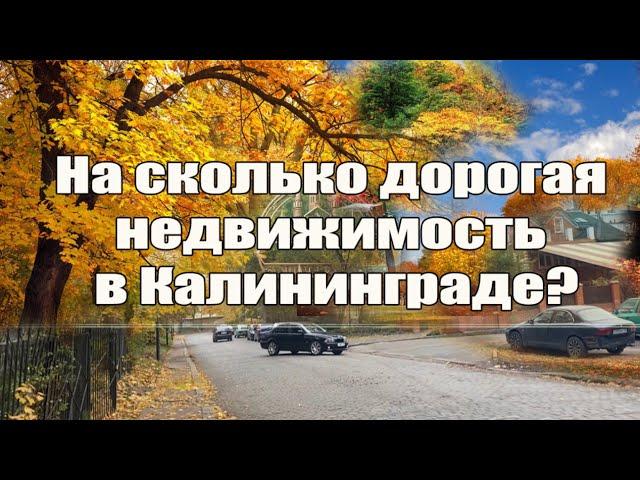 На сколько дорогая недвижимость в Калининграде?