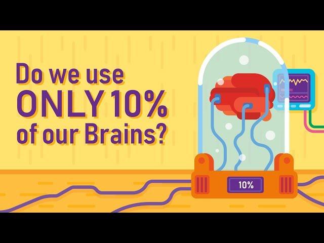 DO WE ONLY USE 10% OF OUR BRAIN?