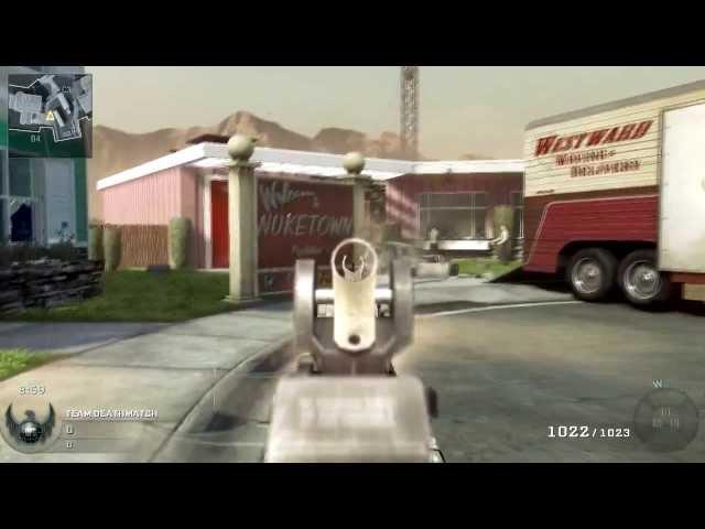 Raygun in black ops multiplayer