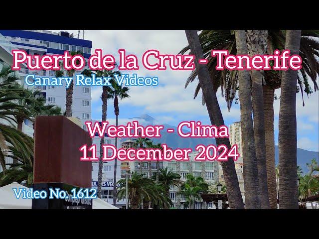 Tenerife ️ Puerto de la Cruz Morning Weather 11 December 2024 Teneriffa