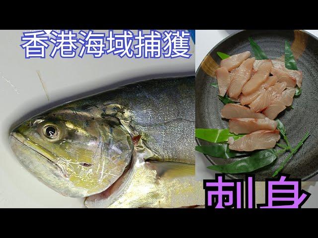 刺身|黃祥魚試食。教你生果刀屋企解決80cm大魚