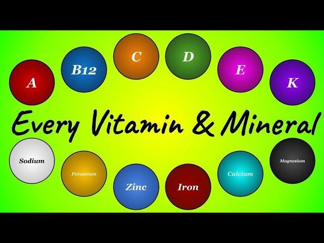 Every Vitamin & Mineral the Body Needs (Micronutrients Explained)