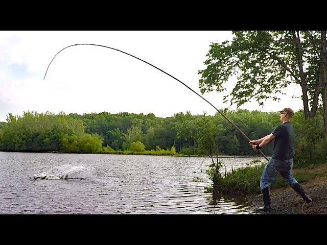 Fishing for BIG fish with 30' bamboo pole!  - pole fishing for carp