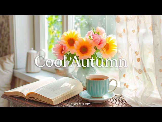 Feel the approaching autumn mood while listening to quiet and peaceful piano music  - Cool autumn