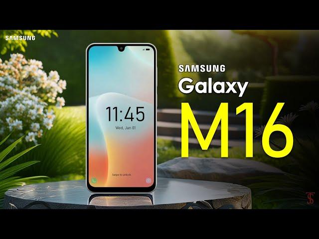 Samsung Galaxy M16 5G First Look, Design, Key Specifications, Features | #Samsung #GalaxyM16 #5g