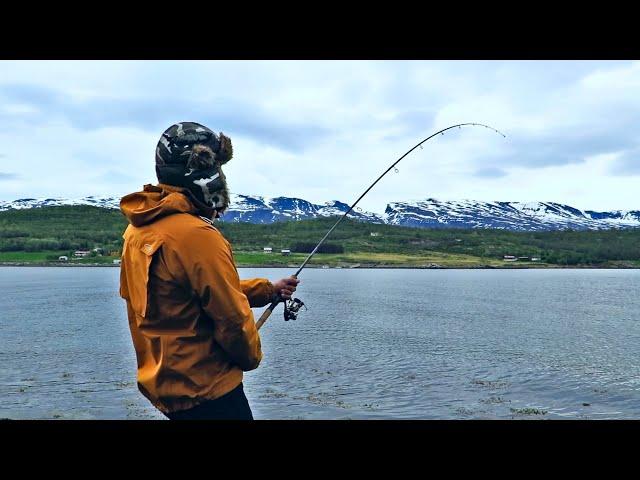 FISHING IN THE LOFOTEN - BEST FISHING PLACES AND TIPS FOR EQUIPMENT