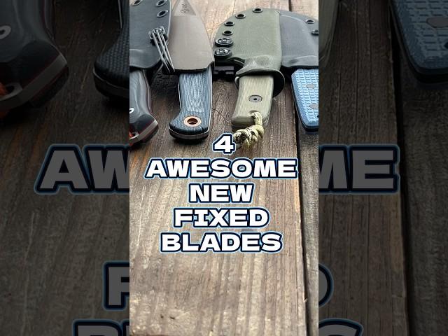 4 Awesome New EDC Fixed Blades! #edc #youtubeshorts #shorts #knife