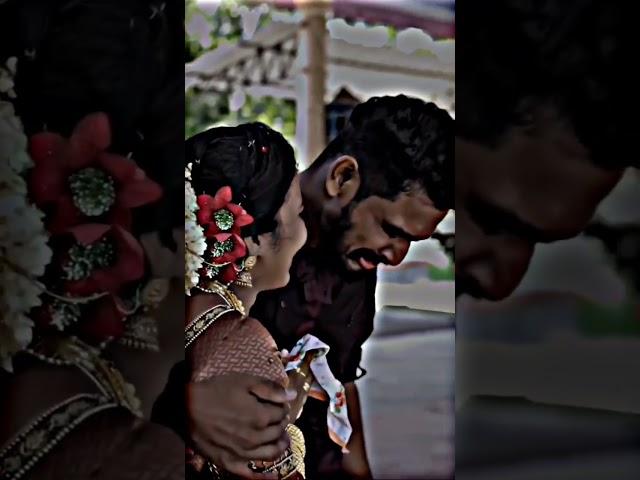 Brother crying  at sister wedding | very emotional moments || #shorts #viral #trending