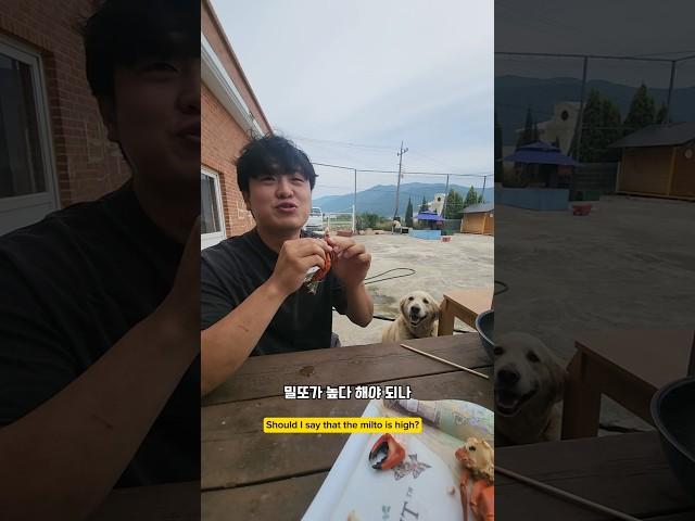 밀도가 높은 게? 20대 총각의 선택은? #남해 #몽실이 #꽃게 #먹방 #청년 #바다