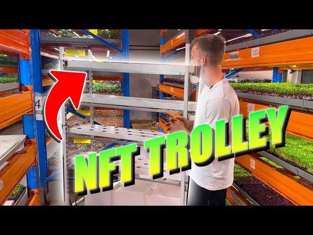 Danish Trolley NFT Vertical Farming System