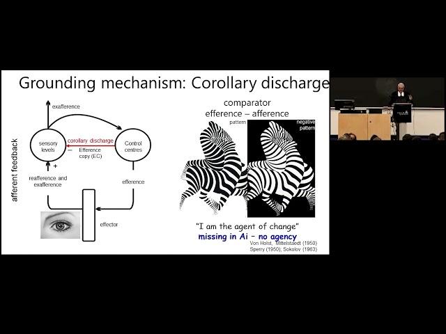 Dr. György Buzsáki (NYU) - Keynote Lecture: Brain-inspired Computation: by which Brain Model?