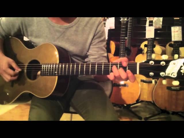 Dolphin Guitars - VG  01M Gold Top  Demo