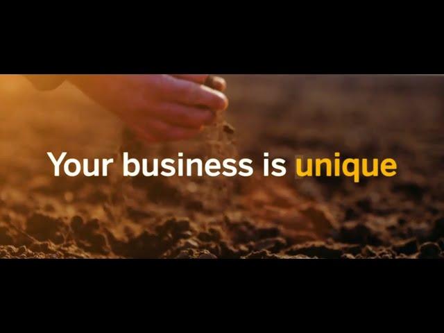 What is SAP Business One?