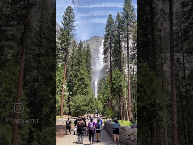 Visit Yosemite National Park