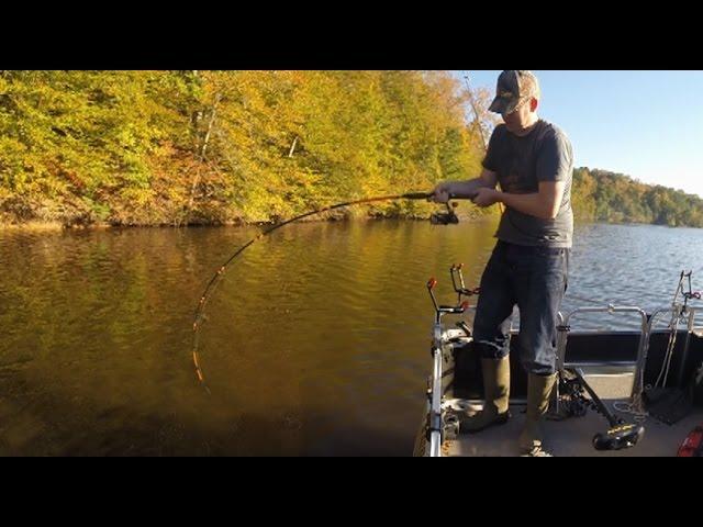 How to catch flathead catfish