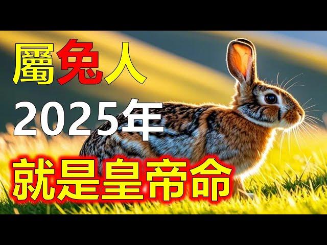 2025生肖運勢，十二生肖屬兔人的運勢，隨著新年2025年的征程展開。，屬兔人被幸運女神特別青睞，屬兔人的運勢在春風中翻滾生長，屬兔人欣欣向榮，屬兔人昭示著一個充滿活力與機遇的一年（生肖兔）