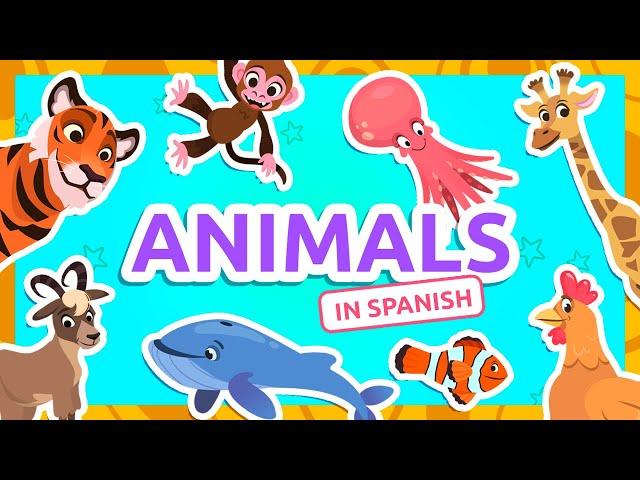 ANIMALS for Kids in Spanish  Bilingual Spanish Vocab for Kids  Compilation