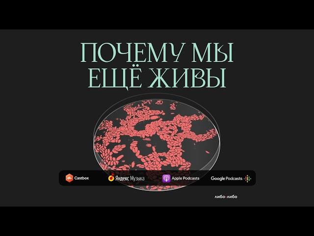 Бей-беги-замри: как адреналин спасает жизни | Подкаст Почему мы ещё живы