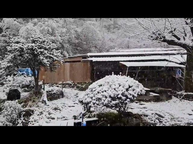 경남 하동 쌍계사 불일산방 설경 영상(회주 영담스님)